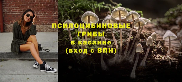 тгк Абдулино