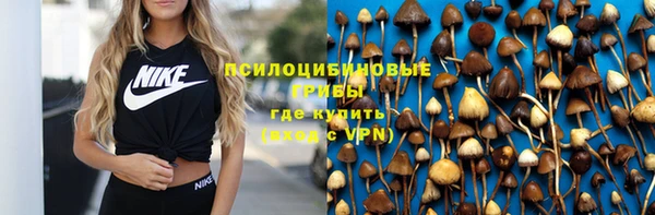 дурь Абинск