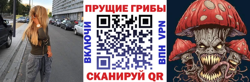 Псилоцибиновые грибы GOLDEN TEACHER  сколько стоит  Ишимбай 